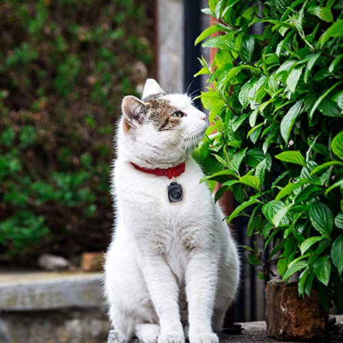 Pet Parade Ultrasonic Tick & Flea Repeller – Emits High Frequencies and Protects Your Pet Without Harmful Chemicals or Pesticides