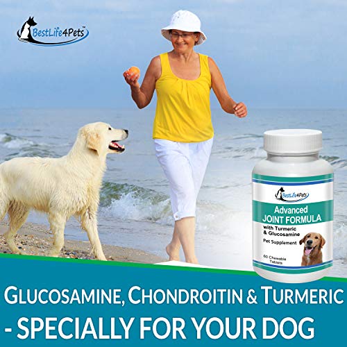 BestLife4Pets Dog Glucosamine Chondroitin and Turmeric Joint Pain Relief Supplement (60 Chews)