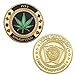 SW Poker Card-Guard Coin Collectibles Table Games Poker Card-Guard Protector Golden Coin Chip w/Plastic Case, Poker Chips Coin, A Great Coin Collecting Gifts for Husband, Father, Friends