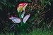 Solar Calla Lily, Solar Lights, Decorative Garden Lights