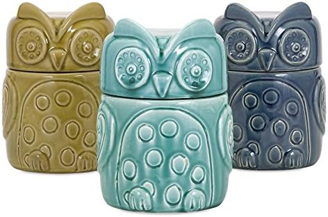 3-Pc Bristol Owl Canister Set