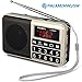 PRUNUS Portable Radio SW/FM/AM(MW)/MP3/USB/SD/TF Rechargeable with Neodymium Speaker. Large Button and Large Display. Stores Stations Automatically. (NO Manual Memory/Delete Stations Function)