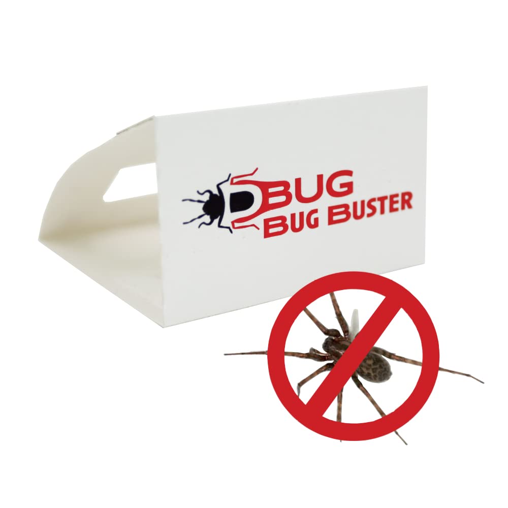 DBUG Bug Buster Sticky Spider Trap For Home - Indoor Spiders and Crawling Insect Killer Traps - Child and Pet Safe - 30 Pack