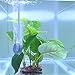 Mylivell Aquarium Plants Artificial Plastic Lifelike Fish Tank Water Plant for Aquarium Decoration Water Grass Aquarium Décor 8.6 Inch