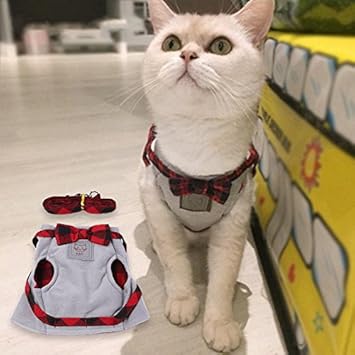 Chat Harnais Robe Manteau Chaton Gilet Reglable Poitrine Sangle Traction Corde Smoking Papillon Noeud Pour Accueil Exterieur L Amazon Fr Animalerie