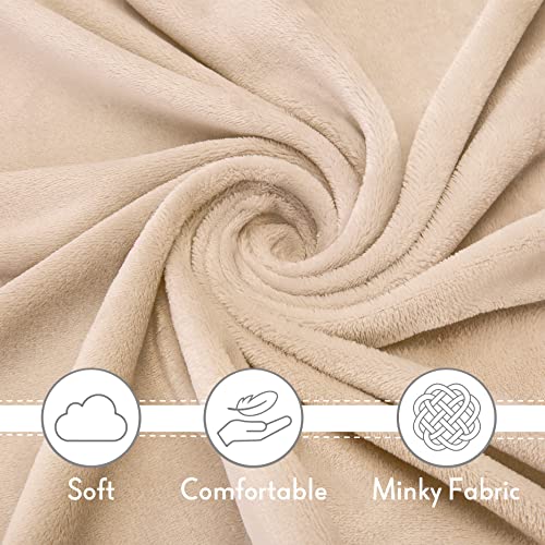 Pro Goleem Lion Security Blanket, Soft Lovey Unisex Lovie Baby Gift for Newborn Boys and Girls Snuggle Toy Stuffed Animal 16 Inch