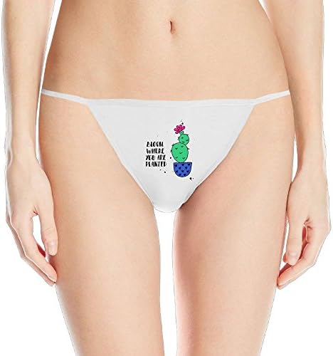 War Wolf WeiWeihu Ladies G Stringsthongs Cactus Sexy Healthy Micro Thong