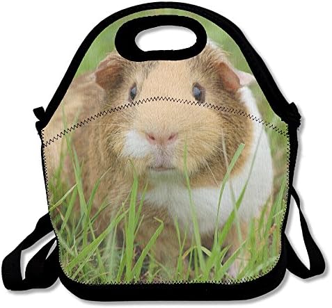 Guinea Pig Insulated Lunch Bag Lunch Tote Bag Travel School Picnic Lunch Box For Men &amp; Women &amp; Kids