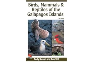 Birds, Mammals, and Reptiles of the Galápagos Islands: An Identification Guide