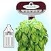 AeroGarden Sprout with Gourmet Herb Seed Pod Kit, Red