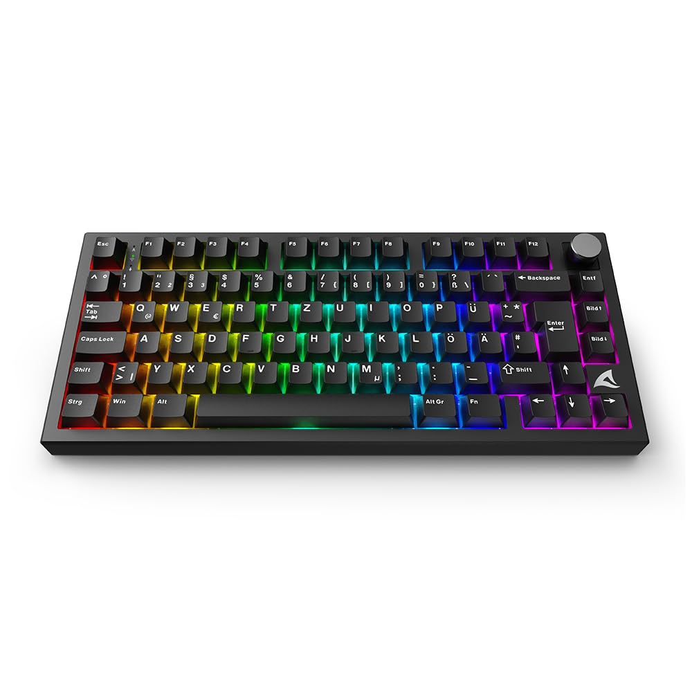 Sharkoon Skiller SGK55W, Kabellose Gaming Tastatur 3