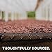 DAGOBA Organic Chocodrops, 8 Ounce