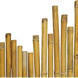 Canne bambu per orto prezzi