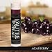 L’Autre Peau Lip Balm, Moisturizing Lip Care “Essentials Gift Set” for Men & Women, 100% Natural Beeswax, Vitamin E, Aloe, & Shea Butter. Lip Repair Chapstick for Dry, Chapped & Cracked Lips (4 Pack