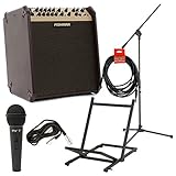 Fishman PRO-LBX-700 Loudbox Performer Acoustic Guitar Amp w/Amp Stand, Microphone with Cable, Mic Stand, and Instrument Cable