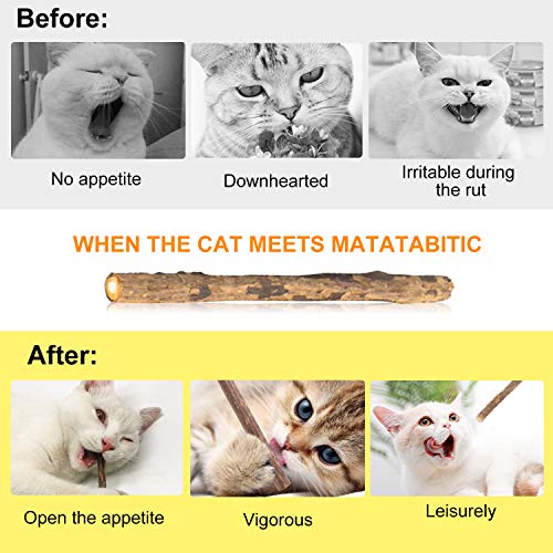 24 Pcs Natural Cat Sticks, Silvervine Chew Stick for Cats Make The Cat Active, Catnip Stick for