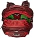 Osprey Ozone 35 L Travel Pack