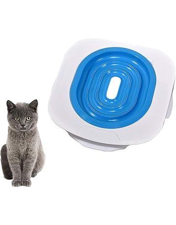 Litiere Chaton Apprentissage