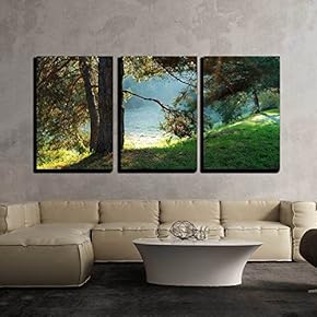 3 Piece Canvas Wall Art - Pine Tree and Sun Rays Through The Branches at Misty Morning - Modern Home Art Stretched and Framed Ready to Hang - 16"x24"x3 Panels