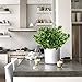 GTIDEA 4pcs Artificial Boxwood Bushes Fake Shrubs Plastic Greenery Plants House Office Garden Patio Yard Indoor Outdoor Decor