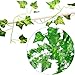 YOUYOUTE Artificial Ivy, 12 Pack Fake Ivy Plant Vine Leaf Leaves Greenery Garlands Hanging (Each 80 inch) for Wedding Party Garden Wall Decoration with Cable Ties (12)