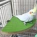 Bird Perch Stand Birdcage Platform for Small Medium Parrot Rat Small Animal (7inch, Green)thumb 1