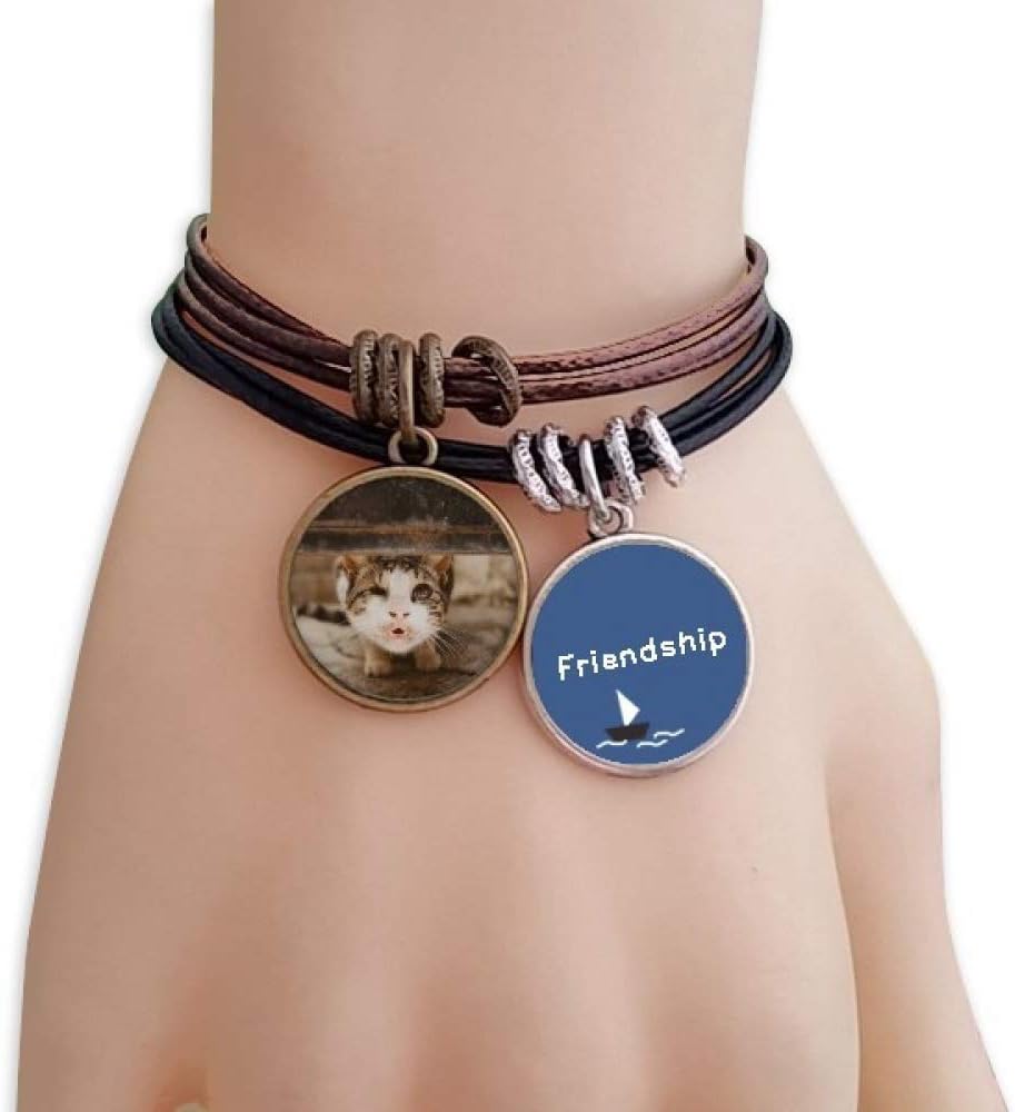 ProDIY Animal Funny Cat Photograph Shoot Friendship Bracelet Leather Rope Wristband Couple Set