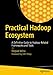 Practical Hadoop Ecosystem: A Definitive Guide to Hadoop-Related Frameworks and Tools by Deepak Vohra