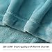 LBRO2M Fleece Bed Blanket Queen Size Super Soft Warm Fuzzy Velvet Plush Throw Lightweight Cozy Couch Blankets ((90x90 Inch) Turquoise