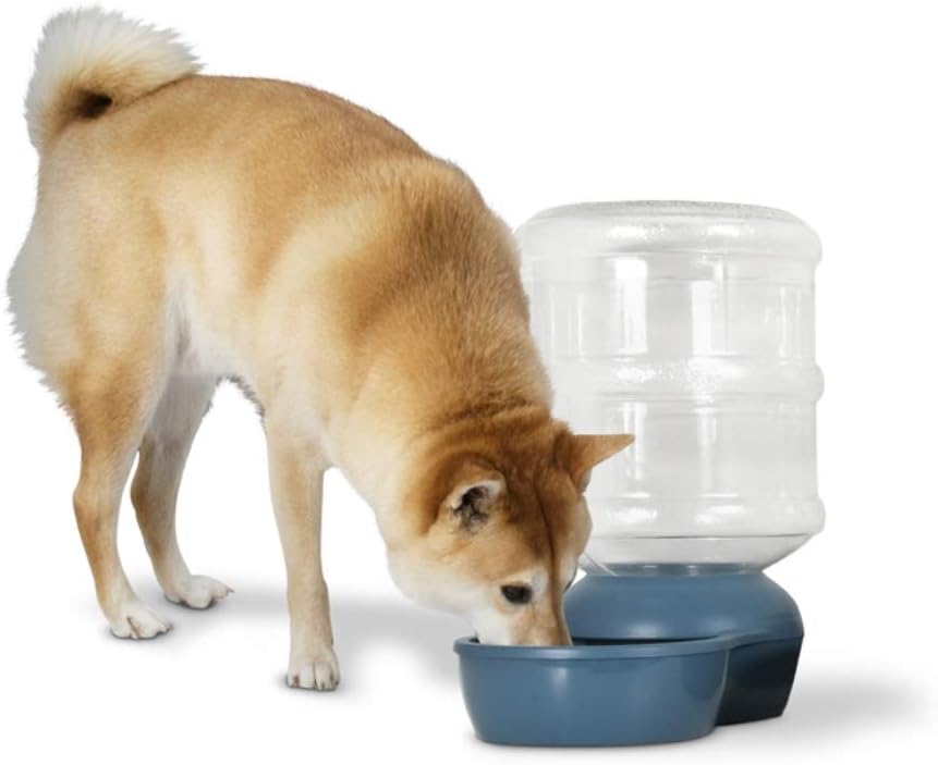 Pet Supplies : Aspen Pet Lebistro Cat and Dog Water Dispenser 4 Capacities : Pet Self Waterers : 