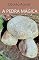 Livro A PEDRA MÁGICA