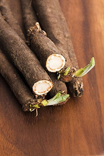 image for Fertile Ukraine Seeds Seeds Salsify Medical Black Root Vegetable Organ