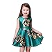 Kidscool Little Girls Sleeveless Yellow Rose Print Green Princess Dress