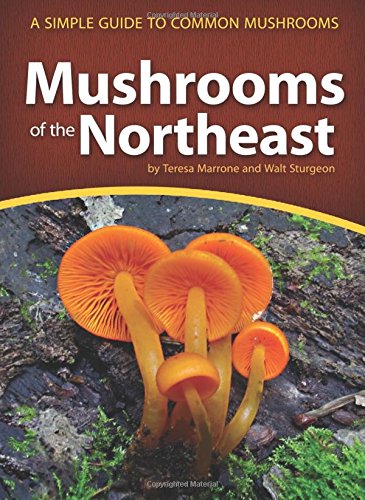 Download Mushrooms of the Northeast: A Simple Guide to Common Mushrooms (Mushroom Guides) Download Mushrooms of the Northeast: A Simple Guide to Common Mushrooms (Mushroom Guides)