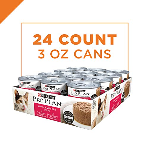 Purina Pro Plan Pate Wet Cat Food, Salmon & Wild Rice Entree - (24) 3 oz. Pull-Top Cans - //medicalbooks.filipinodoctors.org
