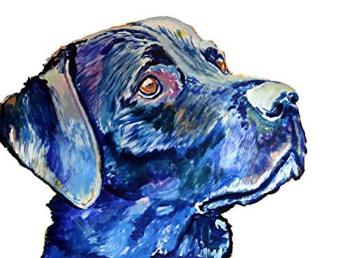 Amazon.com: Labrador Gift, Lab Wall Art, Colourful Blue Labrador Wall