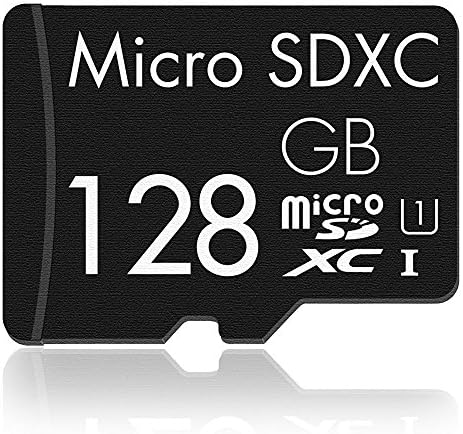 128GB micro Bondisk SDXC Flash Card with SD Adapter SCTF-Mfw128 - Class 10