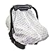 Summer Infant Muslin 2-IN-1 Infant Car Seat Carry & Cover, Arrow Stripe