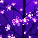 Bolylight LED Cherry Blossom Tree 6ft 208L and Indoor and Outdoor Decoration Lighted Tree for Bedroom/Party/Wedding/Office/Home Light Purple