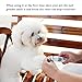 WOWGO Dog Nail Grinder Upgraded Rechargeable Pet Nail Grinder with USB Charging & Nail File Dog Nail Trimmer for Small Medium Large Dogs Cats Pets