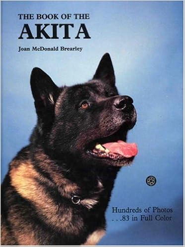 Book of the Akita �n�[�h�J�o�[  - 1990/11/1