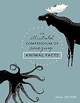 In cerca di noi (Italian Edition)