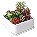 MyGift Modern White Ceramic Square Indoor Small Planter, Flower Succulent Plant Pot with Drainage Hole and Removable Drip Tray