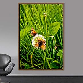 signwin Framed Canvas Wall Art Butterflies Butterfly Colorful...