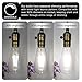 Vintage LED Edison Bulb Dimmable 6W 4000K Neutral White 660 Lumen Led Filament Light Bulb 60W Incandescent Equivalent ST64 E26 Medium Base Decorative Antique Bulb for Bathroom Kitchen Garage, 4 Pack