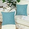 CaliTime Pack of 2 Cozy Throw Pillow Covers Cases for Couch Sofa Home Decoration Solid Dyed Soft Chenille 18 X 18 Inches…