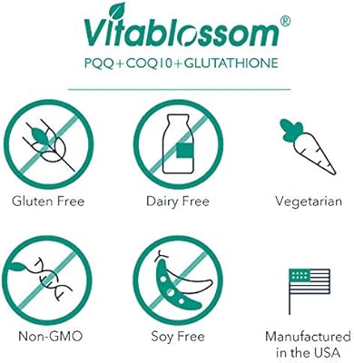 High Absorption Co Enzyme Q10 Pqq With Glutathione 520mg Naturally Fermented Ubiquinone Enhanced Stability Coq10 Supplement 2 Bottles