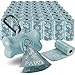 OxGord 1000 Pet Dog Waste Bags for Poop Removal Disposal Heavy Duty with Walk Leash Bone Dispenser and Leash Clip, Disposal – Robin Egg Blue with Paw Prints