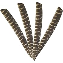 50-Pack Turkey Feather Fletching For Arrows (8-11") - Left Wing Spiral Wraps In 14 Colors