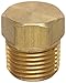 Anderson Metals - 56121-06 56121 Brass Pipe Fitting, Cored Hex Head Plug, 3/8